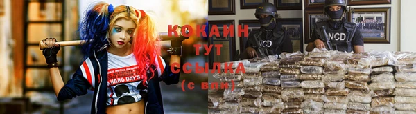 сатива Абинск