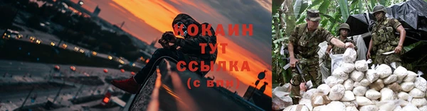 сатива Абинск