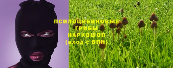 сатива Абинск