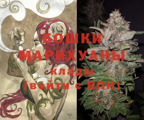 сатива Абинск