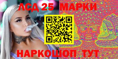 spice Новодвинск