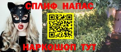 бошки Новозыбков