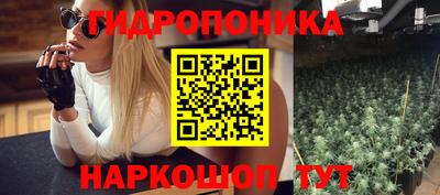 бошки Новозыбков