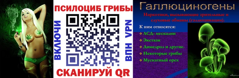 MEGA ONION  Усть-Кут  Псилоцибиновые грибы мицелий 