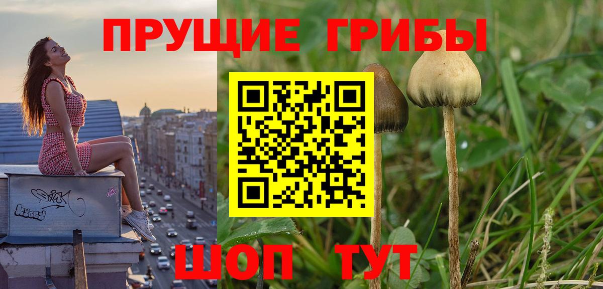 Галлюциногенные грибы ЛСД Усть-Кут